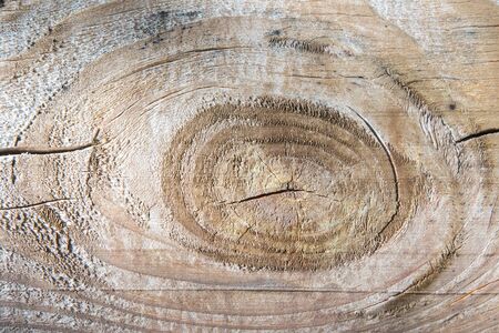 Texture of tree with large knot of cracked, layered rough surface, separated by annual growth lines close up. Natural background for your design.の写真素材