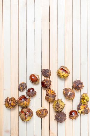 Ripe large chestnut nuts in prickly shell are scattered on light wooden boards. Vertical background with copy space and place for text, design.の写真素材