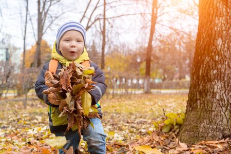 Cute, smiling little boy plays with dry, yellow, autumn leaves in city Park , holding them in his hands before throwing them up. Happy childhood.の写真素材