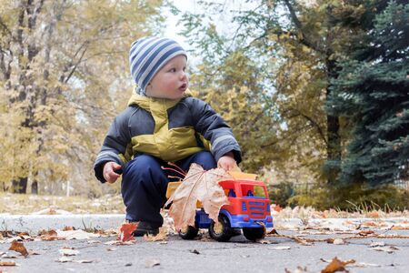 Little boy plays with toy car collecting yellow maple leaves in back of truck in city's autumn park. Children's outdoor games, child development.の写真素材