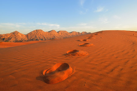 Desertの写真素材