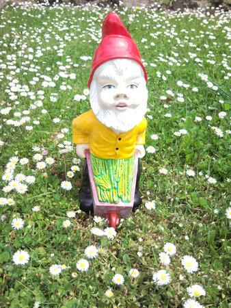 field of daisies with Dwarfの写真素材