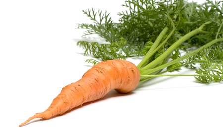 Carrots with tops isolated on a white background.の写真素材