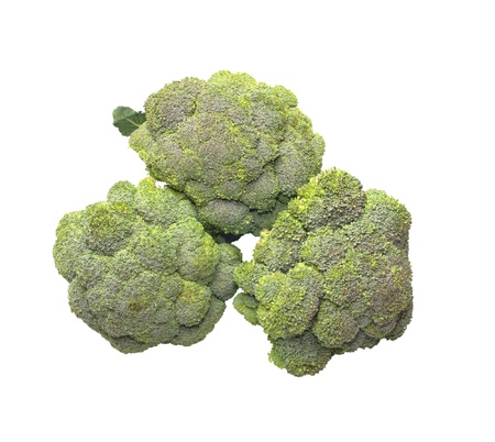 Broccoli it is isolated on a white background.の写真素材