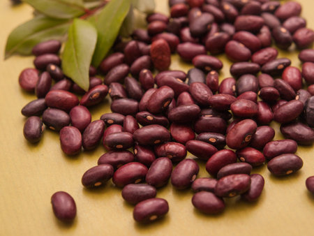 Kidney beans and a leaf on green background