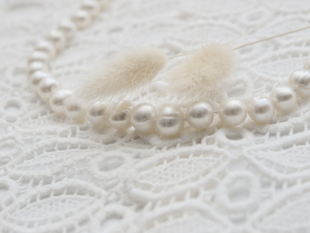 White pearl necklace and immortelle lagurus on white lace backgroundの写真素材