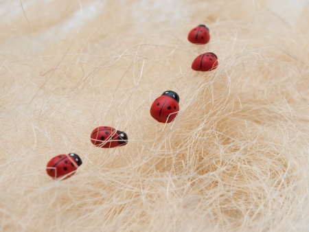 Five artificial ladybirds in a cue on a straw backgroundの写真素材
