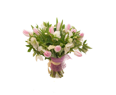 Sweet tender spring bouquet tulips hellebore on white backgroundの写真素材
