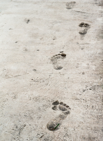 bare foot imprints on old stoneed texture floorの写真素材