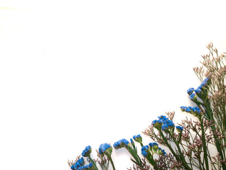 Present cart on white bakground with blue flowersの写真素材