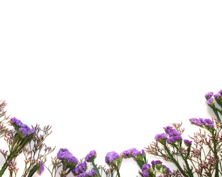 Present cart on white bakground with violet flowersの写真素材