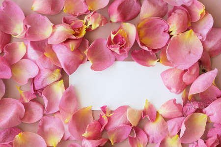 white memo note with rose petal frameの写真素材