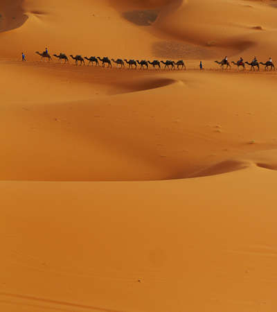 procession of camel caravan in sakhara desertの写真素材