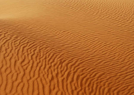 background of orange sand wave in Sakhara desert landscapeの写真素材