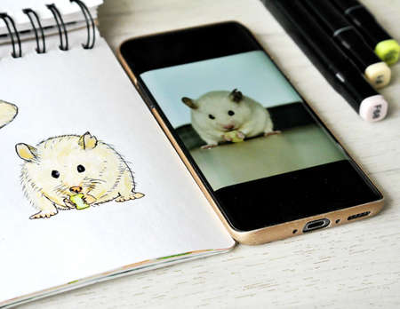 result of sketching photo of eathing white hamsterの写真素材