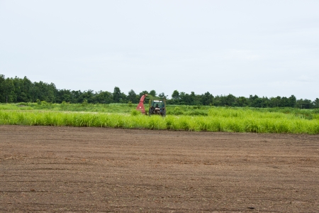 rice cultivation のeditorial素材