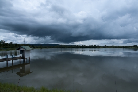 wetlands and green forest  の写真素材