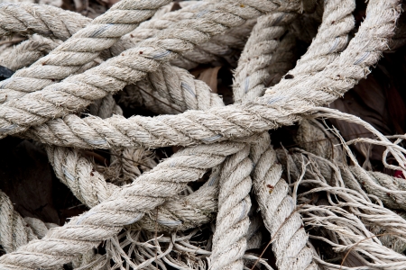 roll of rope isolated on white の写真素材