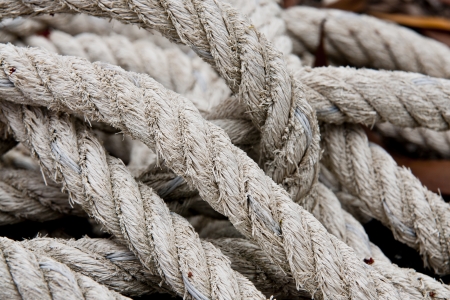 roll of rope isolated on white の写真素材