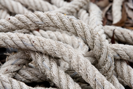 roll of rope isolated on white の写真素材