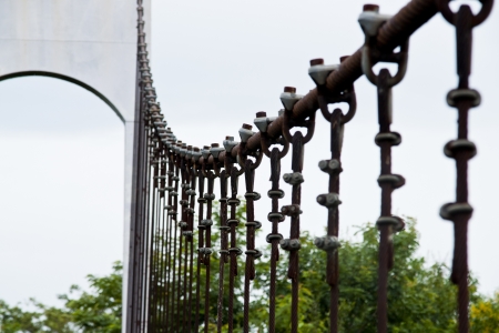 Rope walkway through the treetops in a rain forest の写真素材