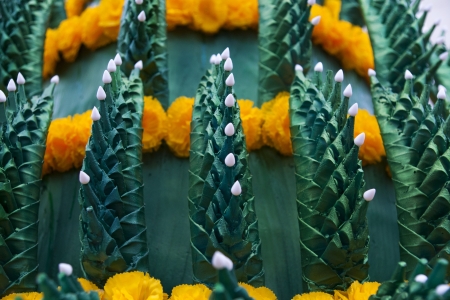 Phan Baisi,Banana leaf for rituals in Thailand  の写真素材