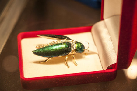 Metallic wood-boring beetleの写真素材