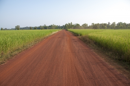 Rural gravel road between agricultural fields  Natural background landscape  の写真素材