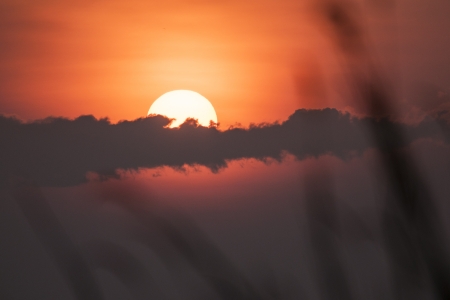 sunsetの写真素材