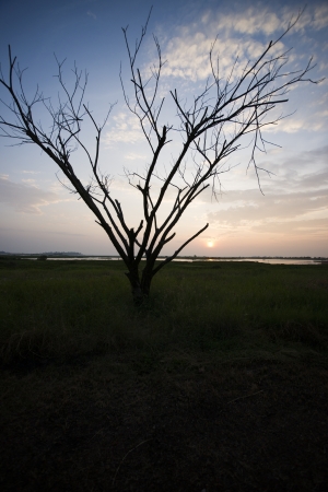 river and fog の写真素材