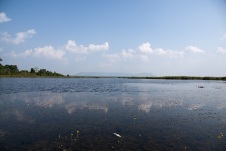 landscape of a marshの写真素材