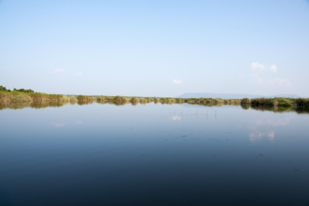 landscape of a marsh の写真素材