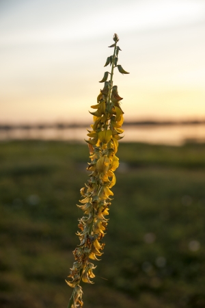 Nice sunset over seaの写真素材
