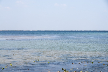 landscape of a marshの写真素材