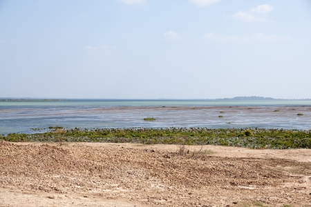 landscape of a marshの写真素材