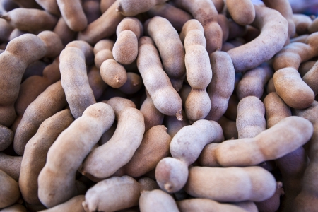 Tamarind の写真素材