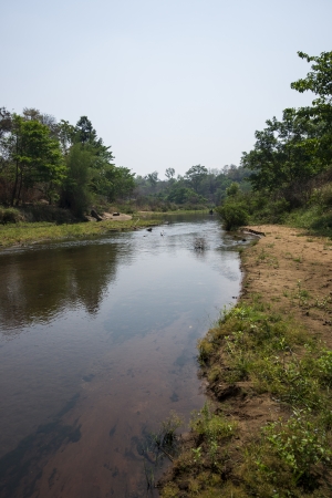 Streamの写真素材