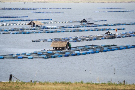 Local Asian Fish Farm のeditorial素材