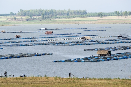 Local Asian Fish Farm の写真素材