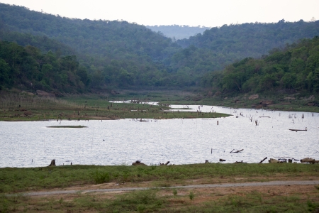Reservoir natural atmosphere in the summer の写真素材
