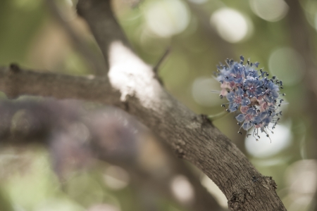 Group of colorful flowers の写真素材