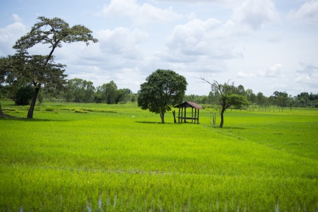 Thailandの写真素材