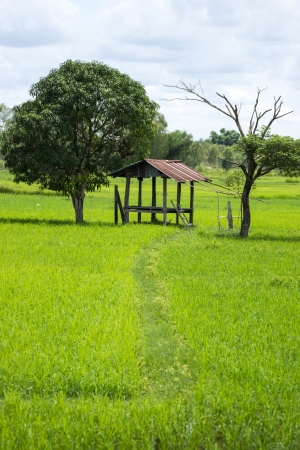 Thailandの写真素材