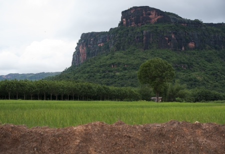 Bright green hills and fields の写真素材