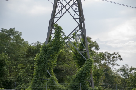 power transmission towerの写真素材