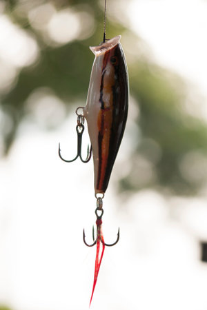 The hook.