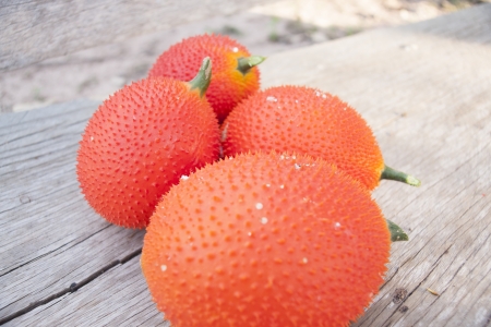 Sweet Gourdの写真素材
