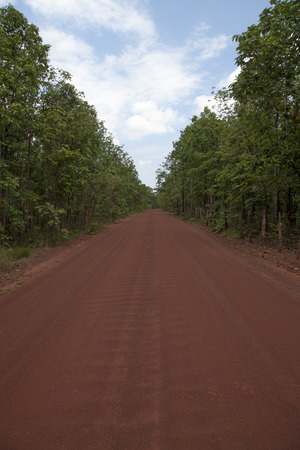 rural roadの写真素材