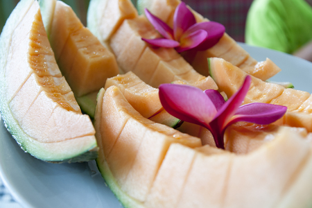 melonの写真素材