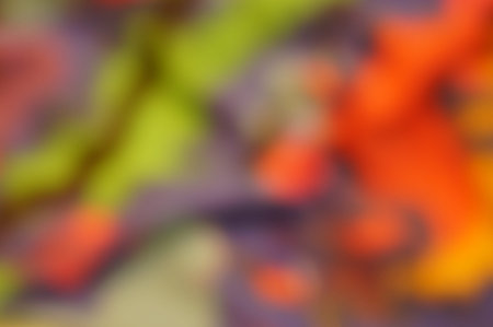Abstract background with colorful harmonious spots